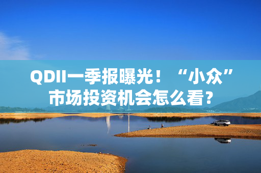 QDII一季报曝光！“小众”市场投资机会怎么看？