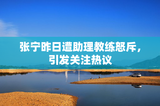 张宁昨日遭助理教练怒斥，引发关注热议