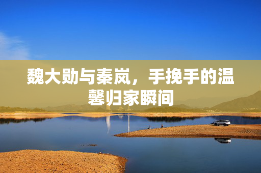 魏大勋与秦岚，手挽手的温馨归家瞬间