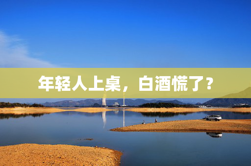 年轻人上桌，白酒慌了？