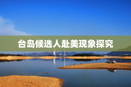 台岛候选人赴美现象探究