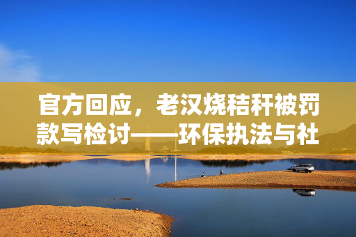 官方回应，老汉烧秸秆被罚款写检讨——环保执法与社会责任并重引发关注