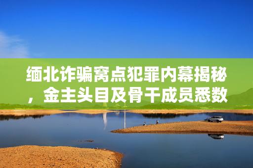 缅北诈骗窝点犯罪内幕揭秘，金主头目及骨干成员悉数落网，共抓获涉案人员21人
