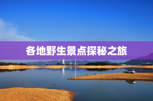 各地野生景点探秘之旅
