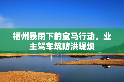福州暴雨下的宝马行动，业主驾车筑防洪堤坝