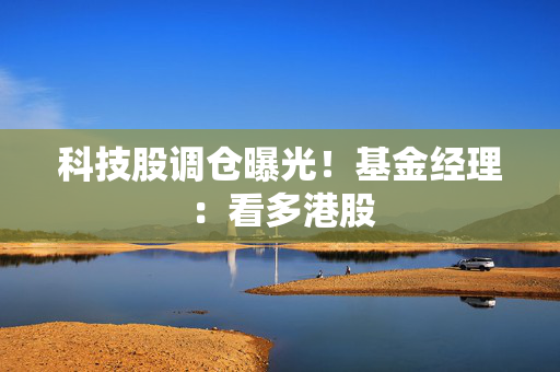科技股调仓曝光！基金经理：看多港股