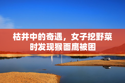 枯井中的奇遇，女子挖野菜时发现猴面鹰被困