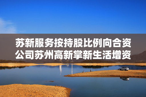 苏新服务按持股比例向合资公司苏州高新掌新生活增资300万元