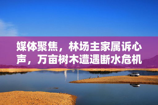 媒体聚焦，林场主家属诉心声，万亩树木遭遇断水危机