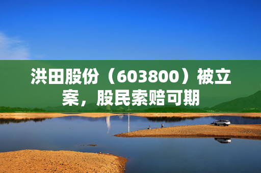 洪田股份（603800）被立案，股民索赔可期