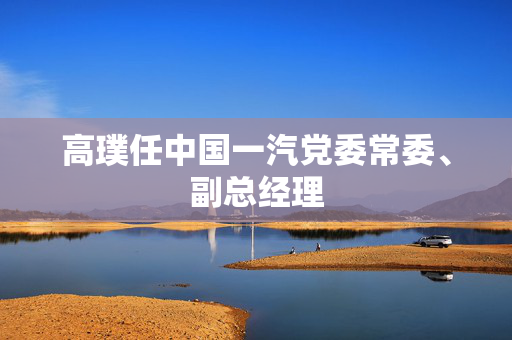 高璞任中国一汽党委常委、副总经理