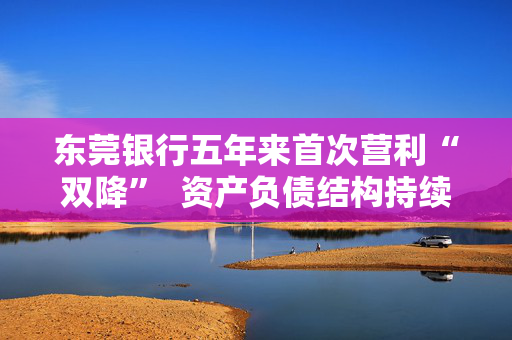 东莞银行五年来首次营利“双降”  资产负债结构持续调整