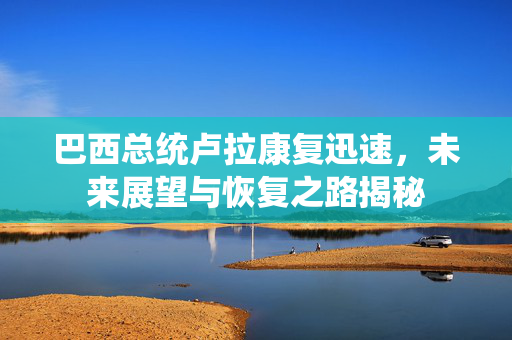 巴西总统卢拉康复迅速，未来展望与恢复之路揭秘