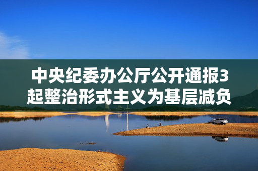 中央纪委办公厅公开通报3起整治形式主义为基层减负典型问题