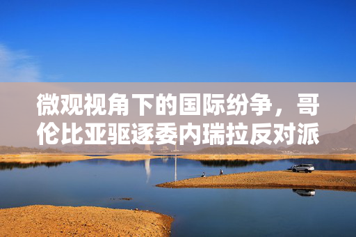 微观视角下的国际纷争，哥伦比亚驱逐委内瑞拉反对派瓜伊多的背后解析