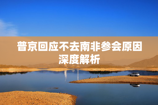 普京回应不去南非参会原因深度解析