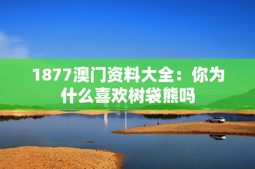 1877澳门资料大全：你为什么喜欢树袋熊吗