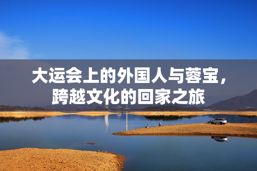 大运会上的外国人与蓉宝，跨越文化的回家之旅