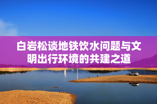 白岩松谈地铁饮水问题与文明出行环境的共建之道