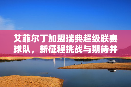 艾菲尔丁加盟瑞典超级联赛球队，新征程挑战与期待并存