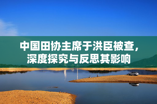 中国田协主席于洪臣被查，深度探究与反思其影响