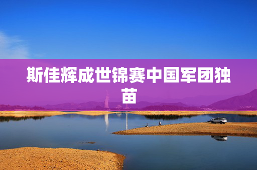 斯佳辉成世锦赛中国军团独苗