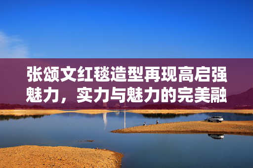 张颂文红毯造型再现高启强魅力，实力与魅力的完美融合