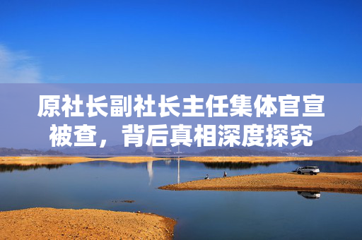 原社长副社长主任集体官宣被查，背后真相深度探究