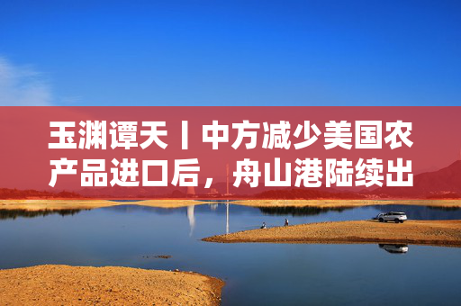 玉渊谭天丨中方减少美国农产品进口后，舟山港陆续出现巴西大豆船