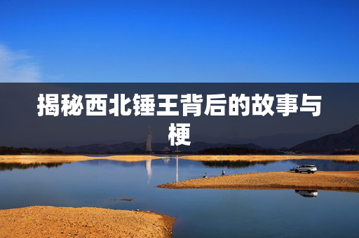 揭秘西北锤王背后的故事与梗