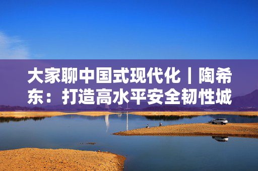 大家聊中国式现代化｜陶希东：打造高水平安全韧性城市，给群众看得见的安全感