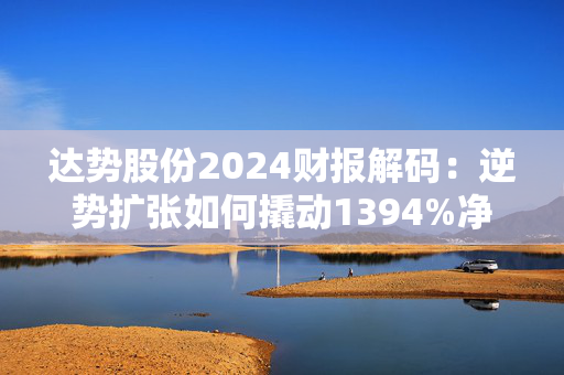 达势股份2024财报解码：逆势扩张如何撬动1394%净利跃升？