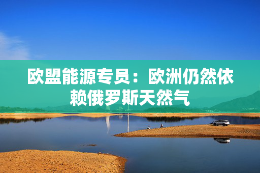 欧盟能源专员：欧洲仍然依赖俄罗斯天然气