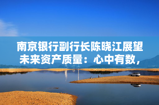 南京银行副行长陈晓江展望未来资产质量：心中有数，手中有量，脚下有力
