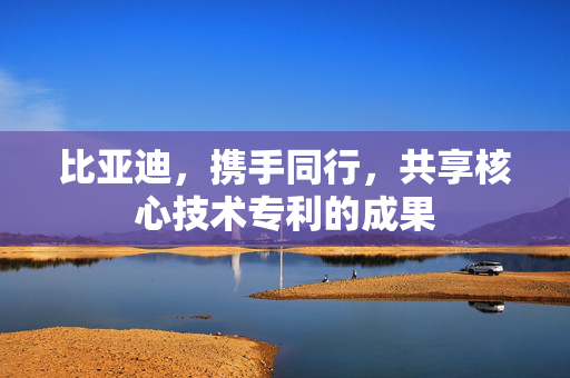 比亚迪，携手同行，共享核心技术专利的成果