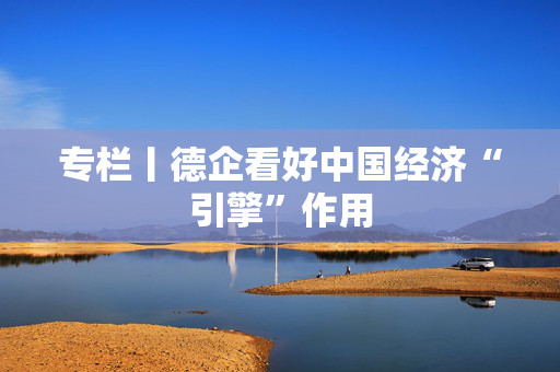专栏丨德企看好中国经济“引擎”作用