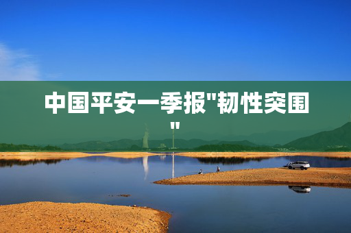 中国平安一季报
