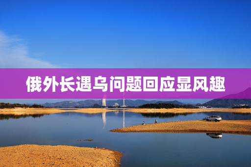 俄外长遇乌问题回应显风趣