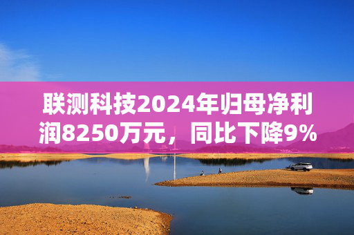 联测科技2024年归母净利润8250万元，同比下降9%