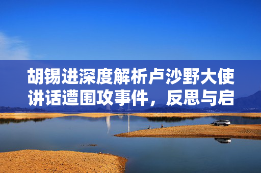 胡锡进深度解析卢沙野大使讲话遭围攻事件，反思与启示