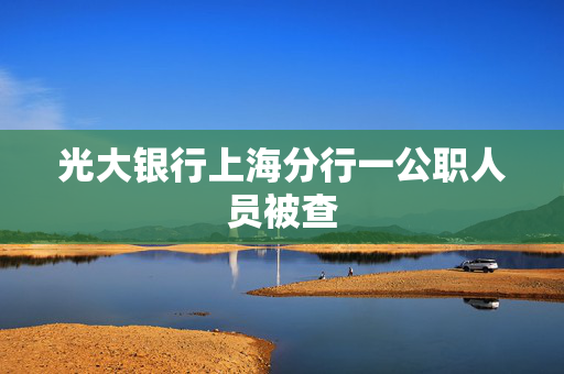 光大银行上海分行一公职人员被查