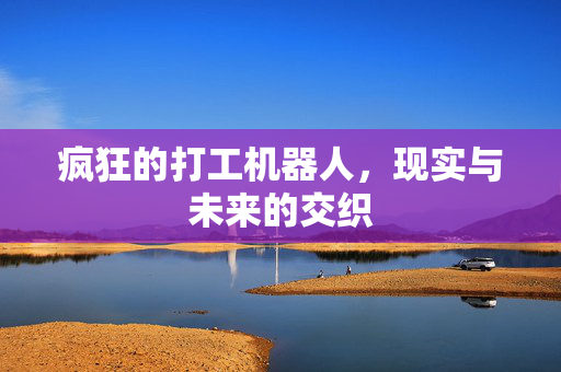 疯狂的打工机器人，现实与未来的交织