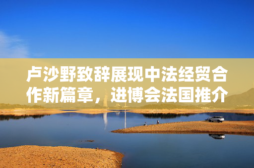 卢沙野致辞展现中法经贸合作新篇章，进博会法国推介会盛大举办