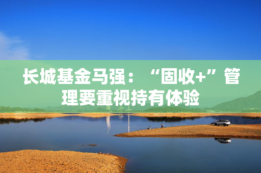 长城基金马强：“固收+”管理要重视持有体验