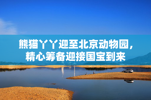 熊猫丫丫迎至北京动物园，精心筹备迎接国宝到来