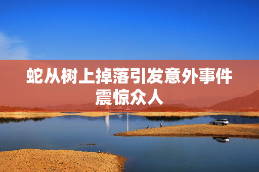 蛇从树上掉落引发意外事件震惊众人