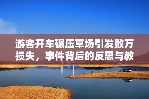 游客开车碾压草场引发数万损失，事件背后的反思与教训