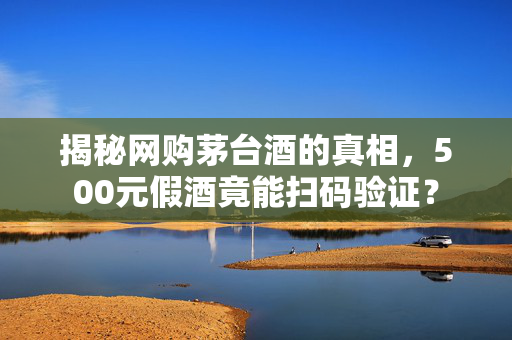 揭秘网购茅台酒的真相，500元假酒竟能扫码验证？