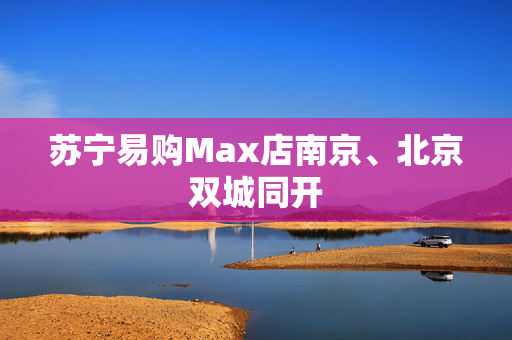 苏宁易购Max店南京、北京双城同开