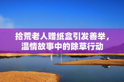 拾荒老人赠纸盒引发善举，温情故事中的除草行动